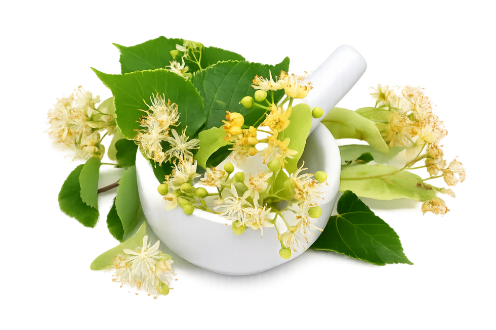 Zufriedenheit ist unser Anspruch- Lindenapotheke Niesky
